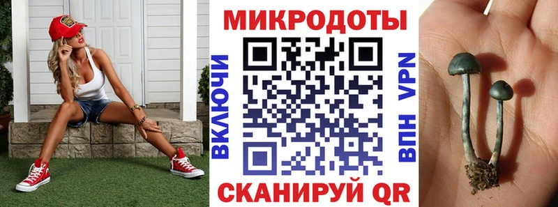 Псилоцибиновые грибы Cubensis  Купить  Новоуральск 