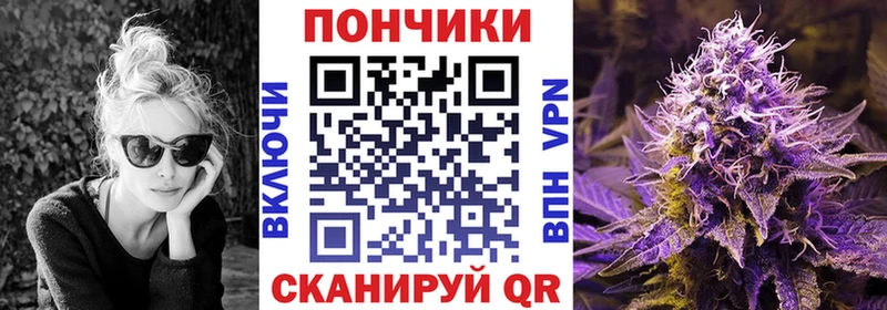 Купить  Новоуральск  Бошки Шишки план 